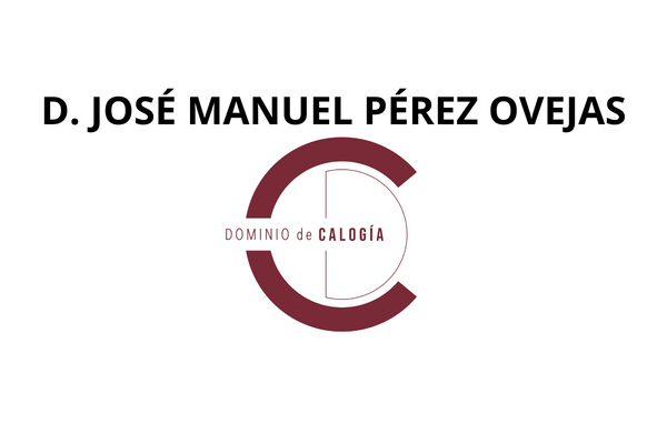 D. JOSÉ MANUEL PÉREZ OVEJAS