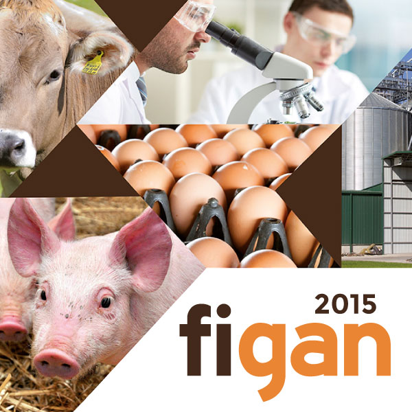FIGAN 2015