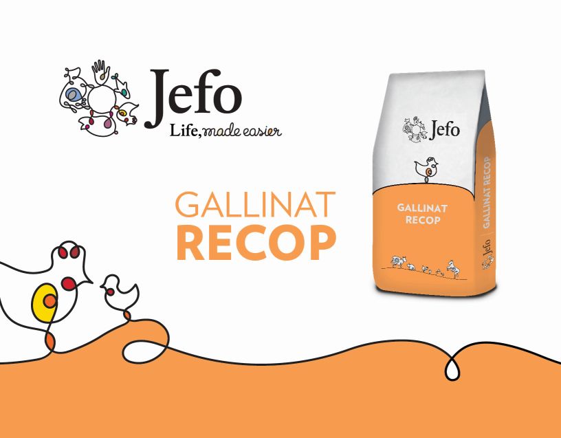Productos - JEFO
