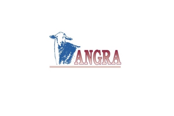 A.N.G.R.A. 