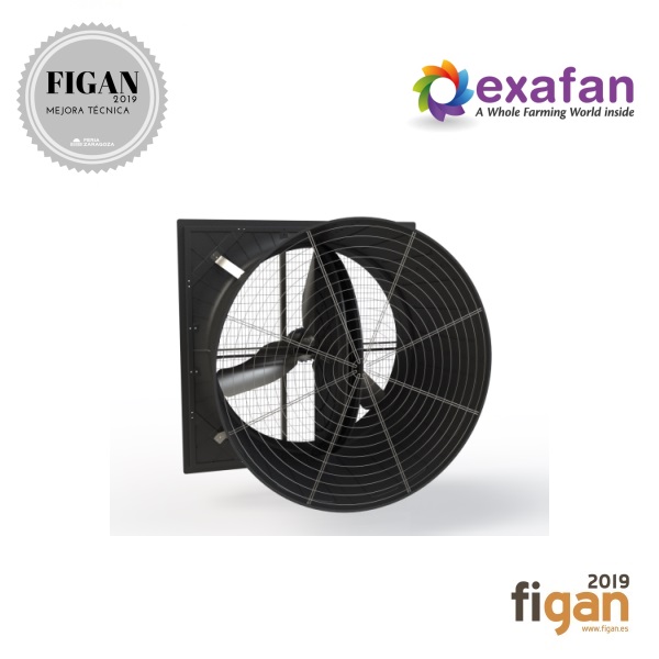 VENTILADOR EX60 EOLO MOTOR DIRECTO