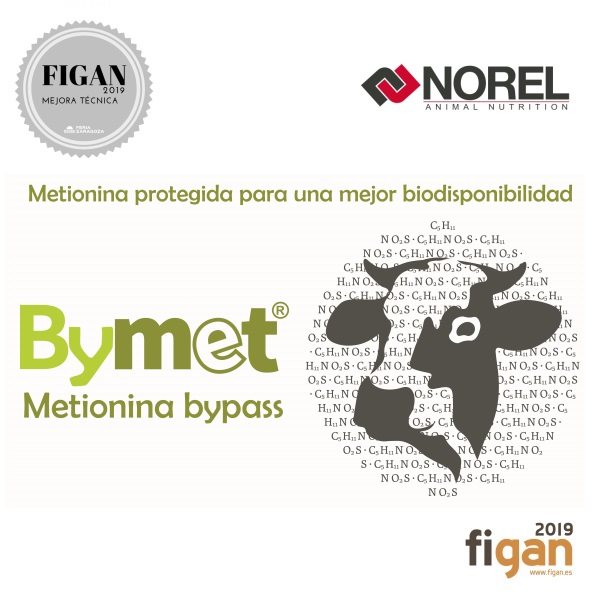 BYMET