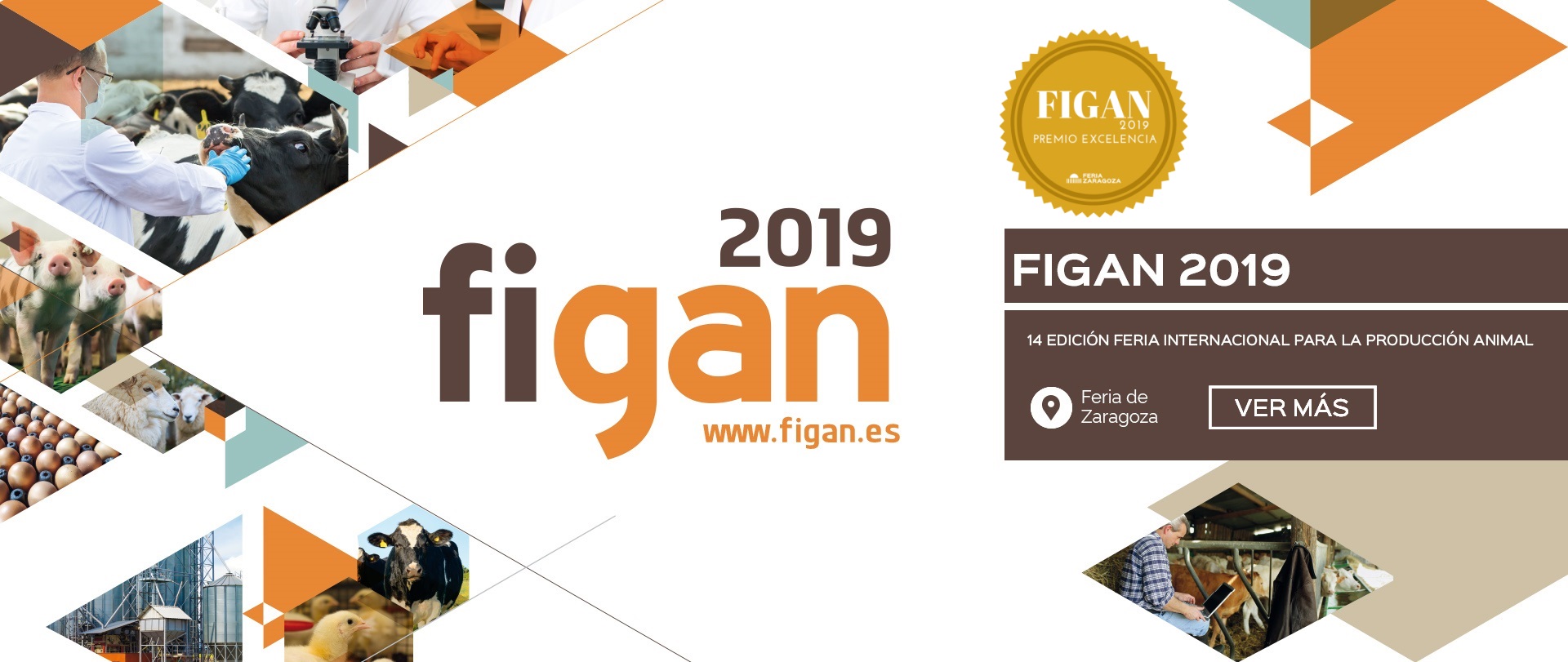 PREMIO EXCELENCIA FIGAN 2019