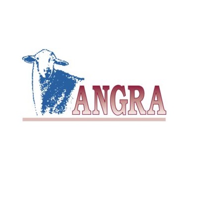 ANGRA