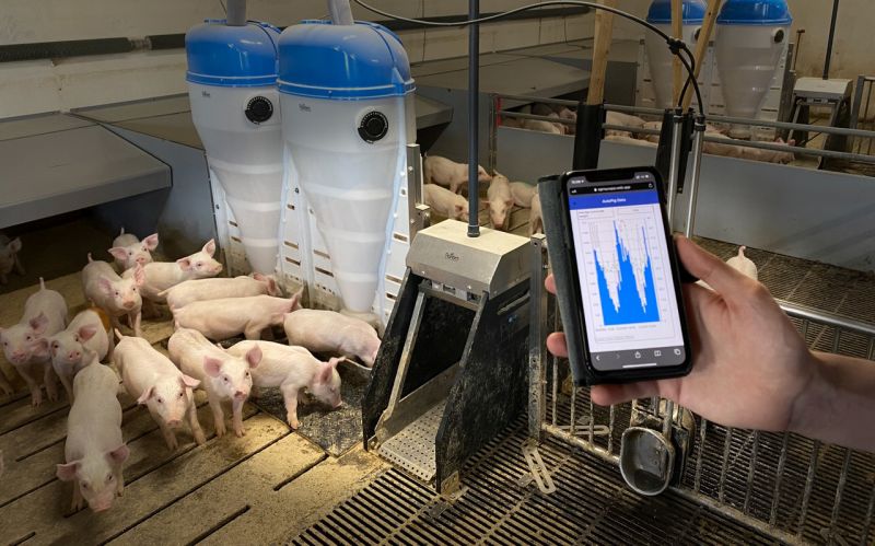 AUTOPIG, TU AYUDANTE DIGITAL