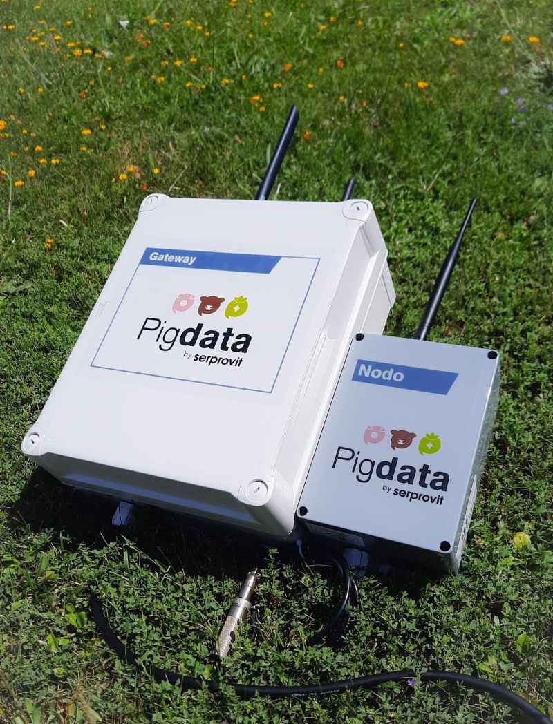 PIGDATA