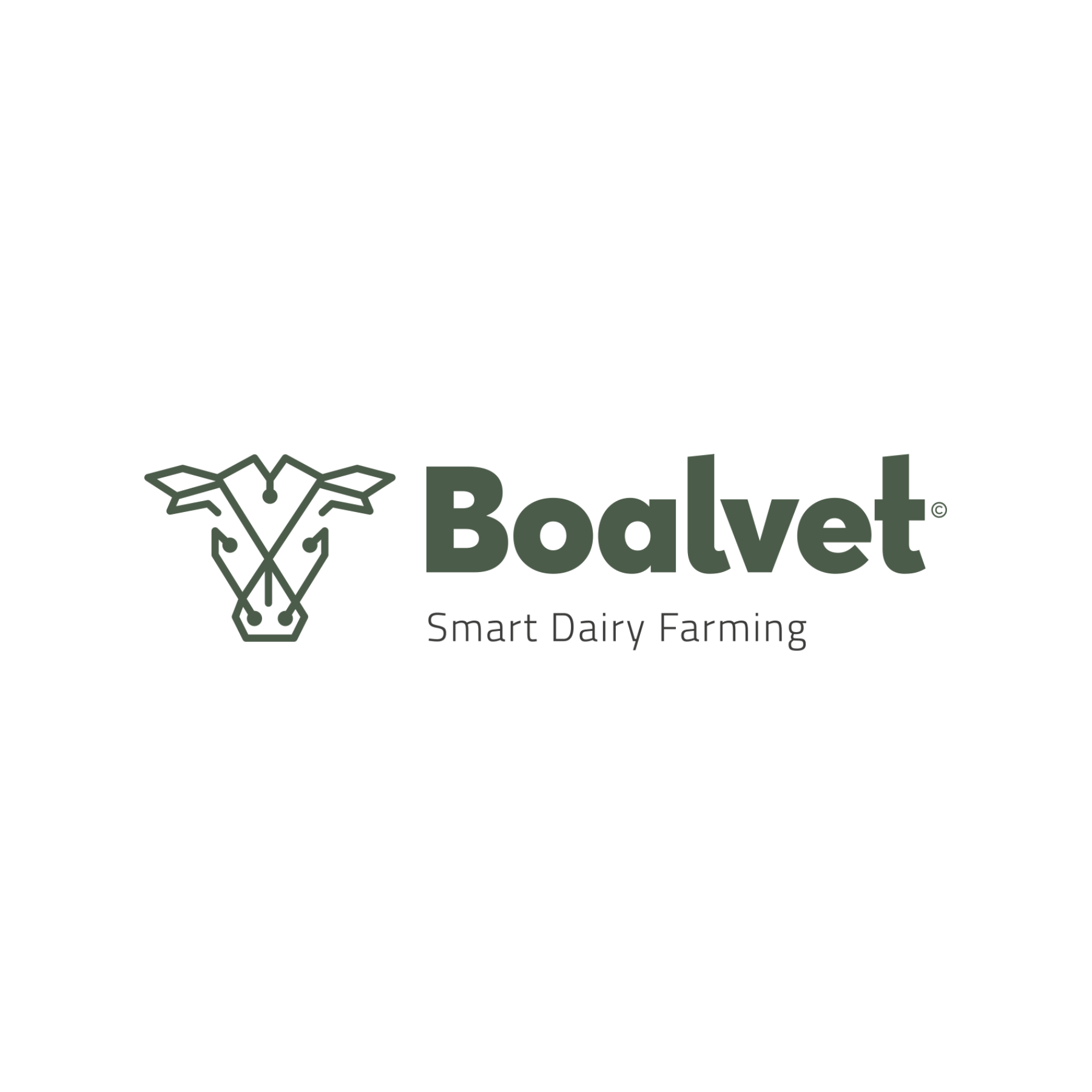 BOALVET AI, S.L.