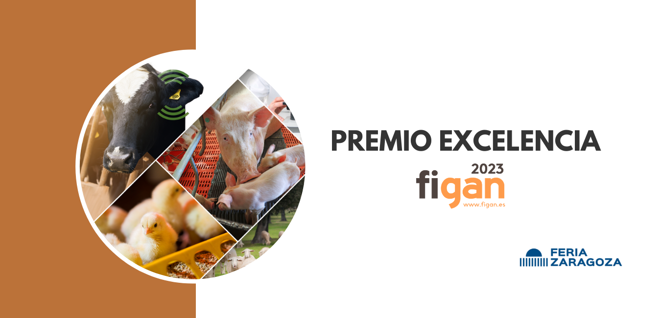 Premio Excelencia FIGAN 2023