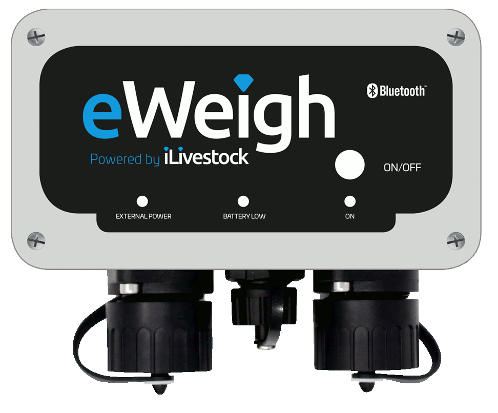 Bascula eWeigh