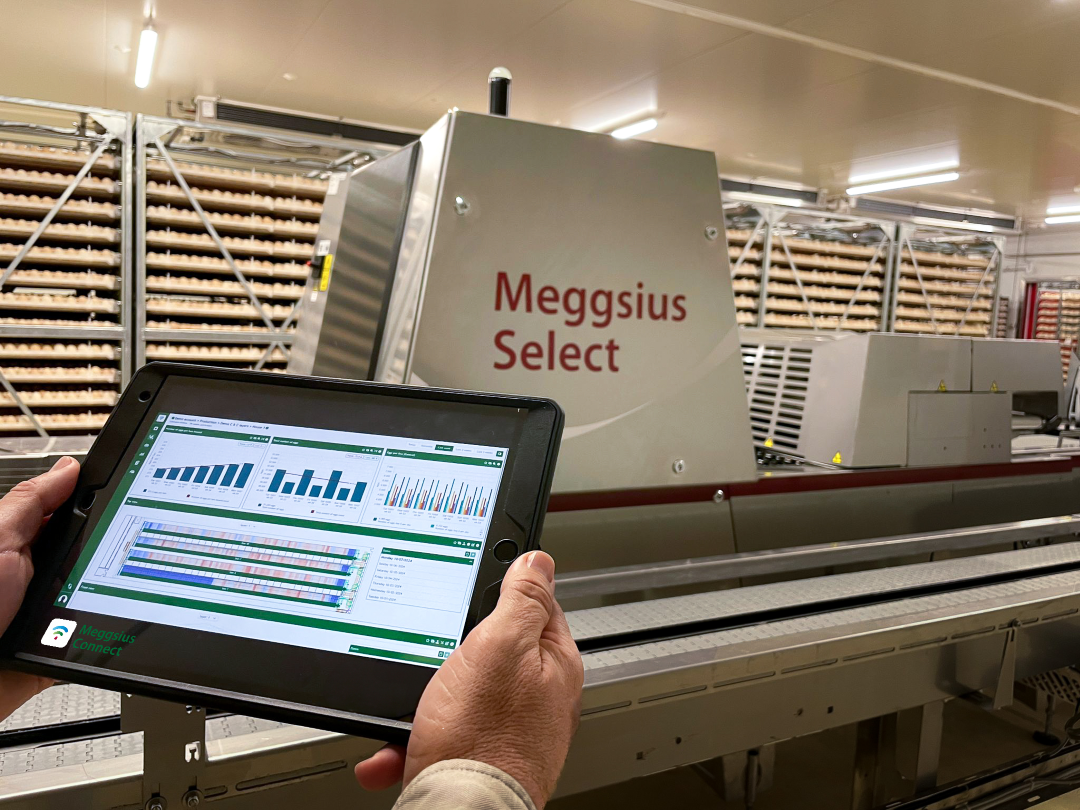 Meggsius Select