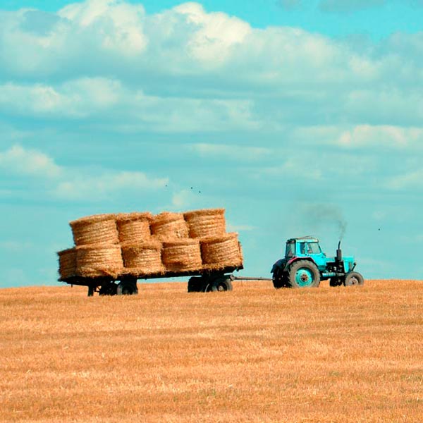 FIMA AGRÍCOLA 2016