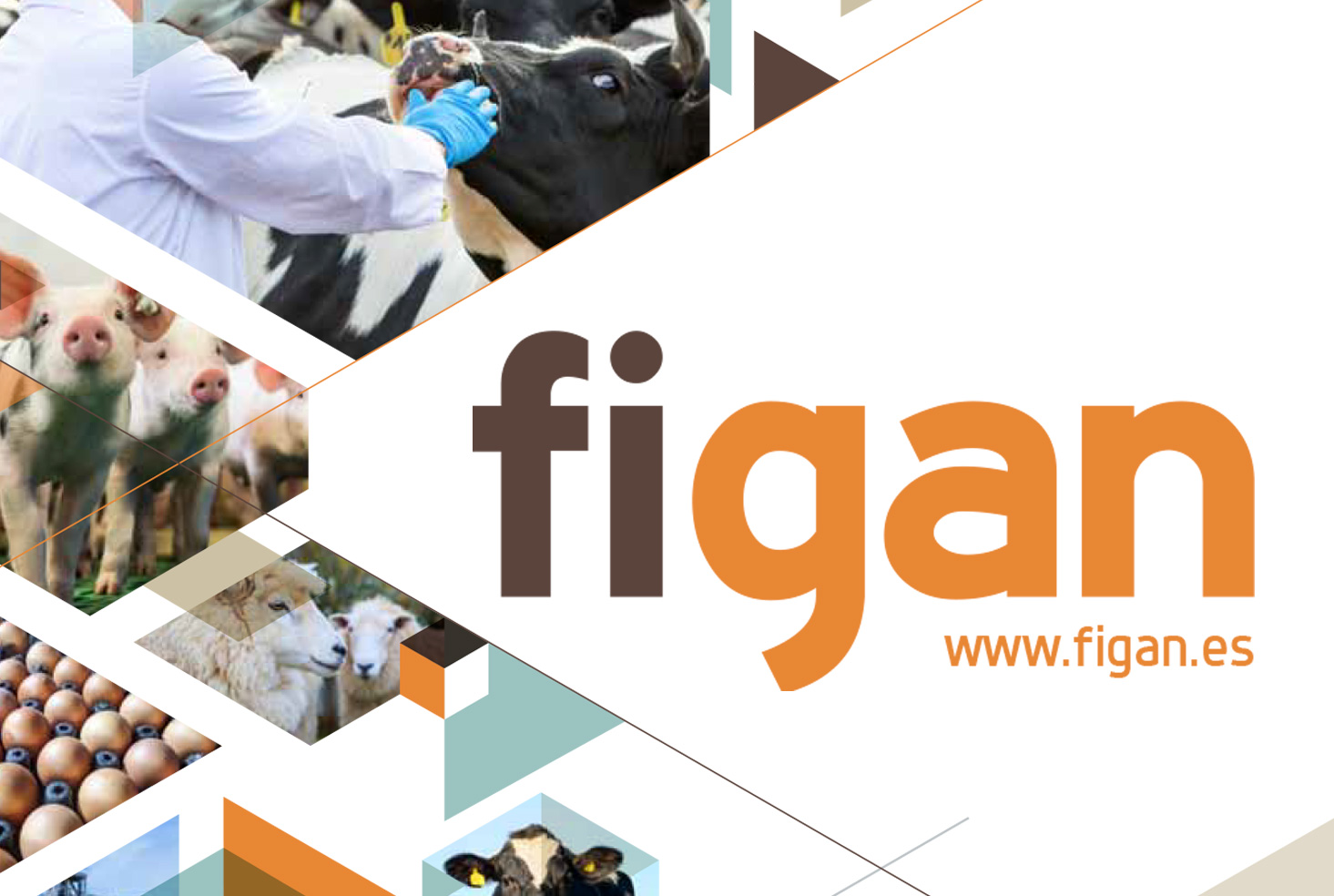 FIGAN 2017, EL MOTOR DE IMPULSO PARA EL SECTOR AGROPECUARIO 