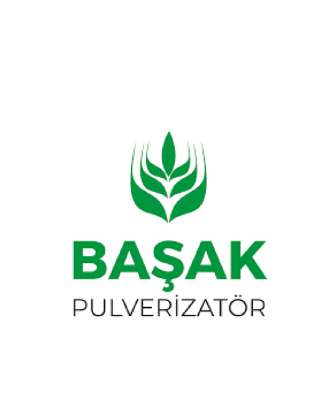 BASAK PULVERIZATOR LTD