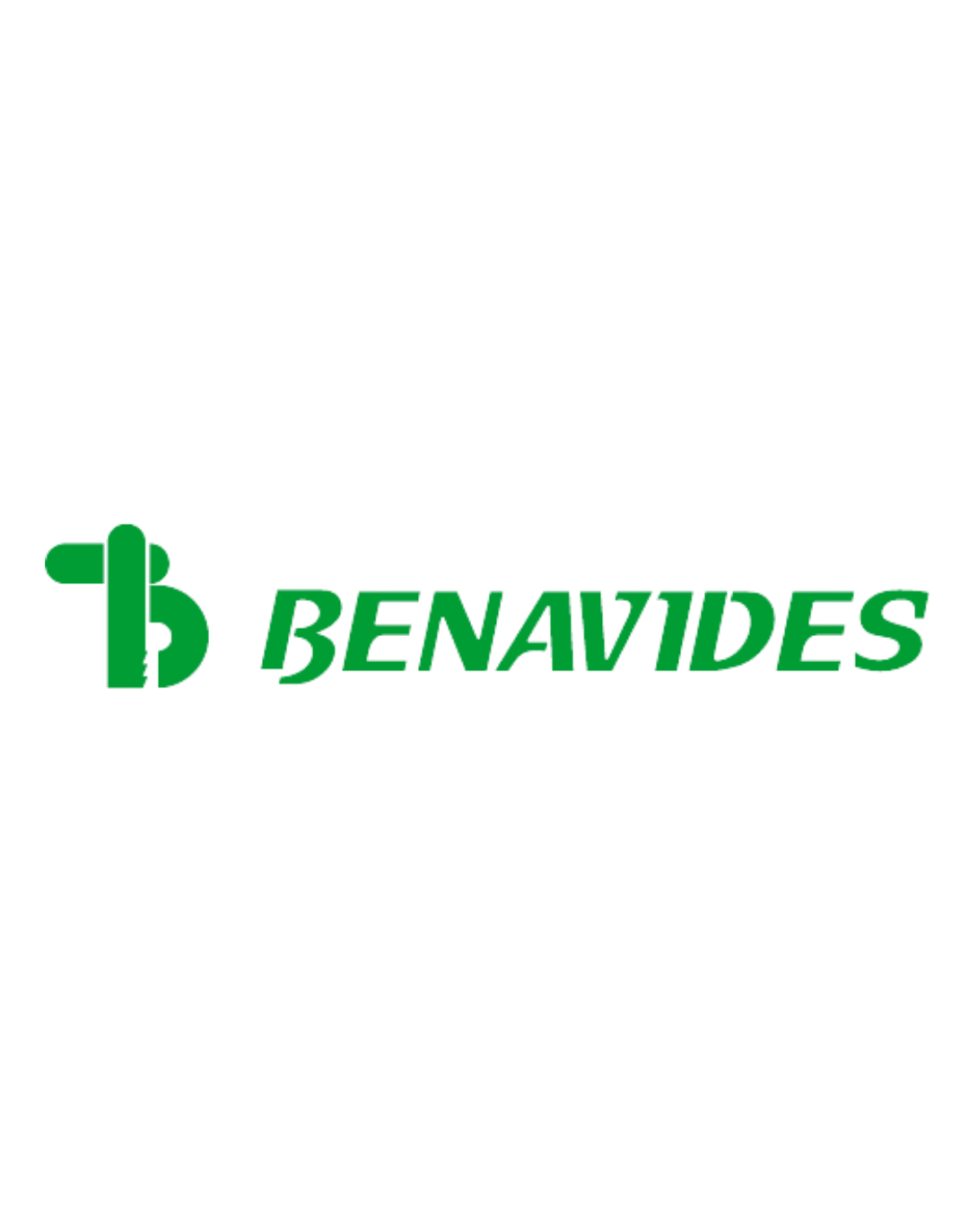 BENAVIDES  MAQUINARIA