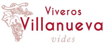 VIVEROS VILLANUEVA VIDES