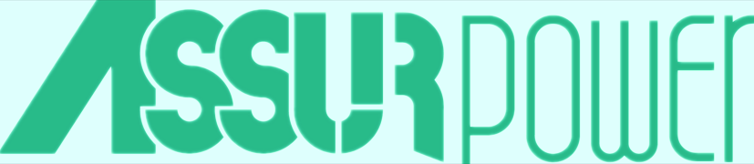 ASSURPOWER ENGINE PARTS LLC