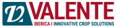 VALENTE IBERICA SLU