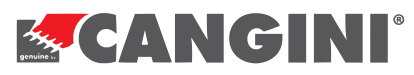CANGINI
