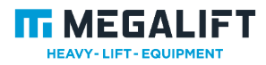 MEGALIFT LTD