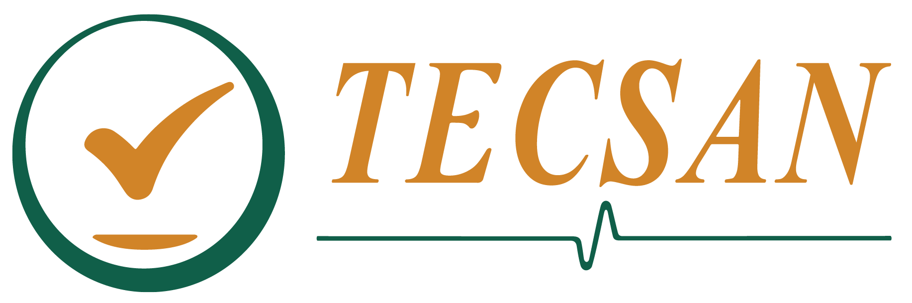 TECSAN (GRUPO MEJORAS)