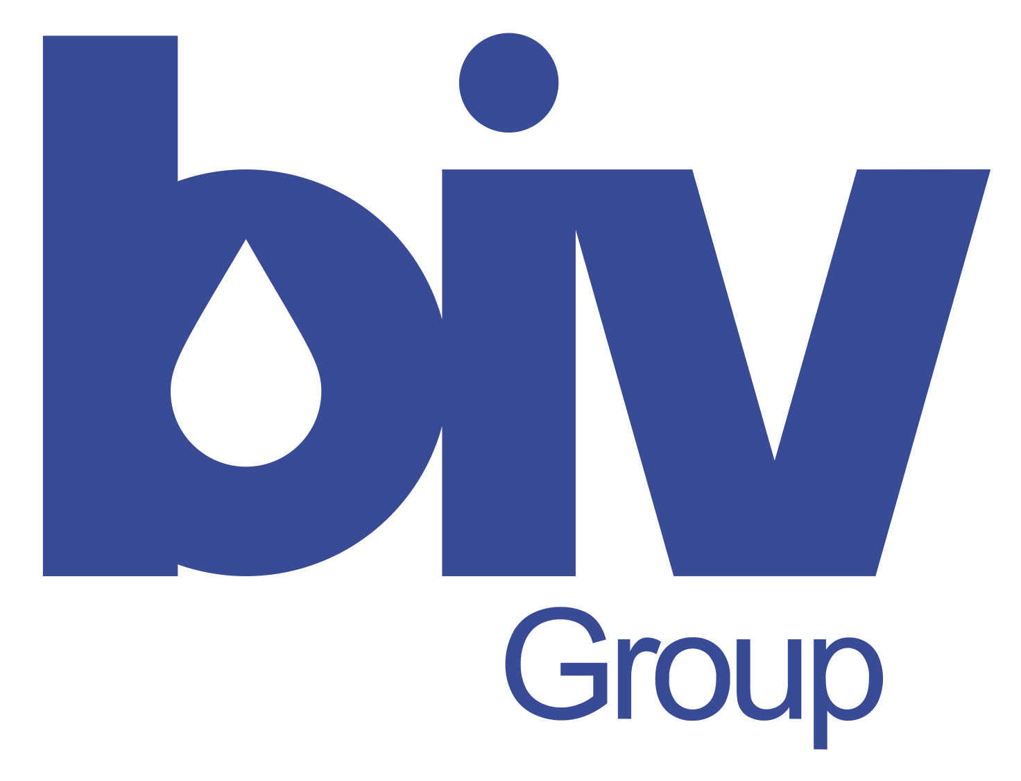 BIV INNOVA S.L