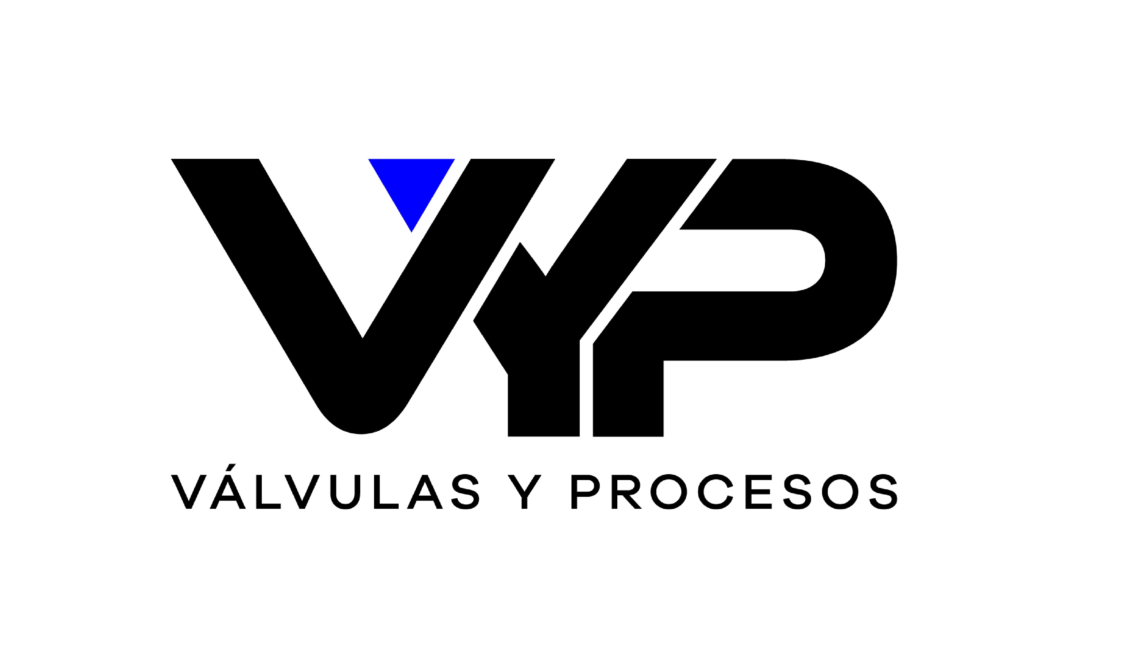 VALVULAS Y PROCESOS 2007  SL (VYP)
