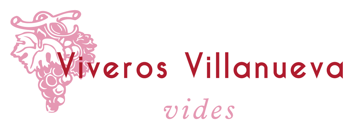 VIVEROS VILLANUEVA VIDES SL