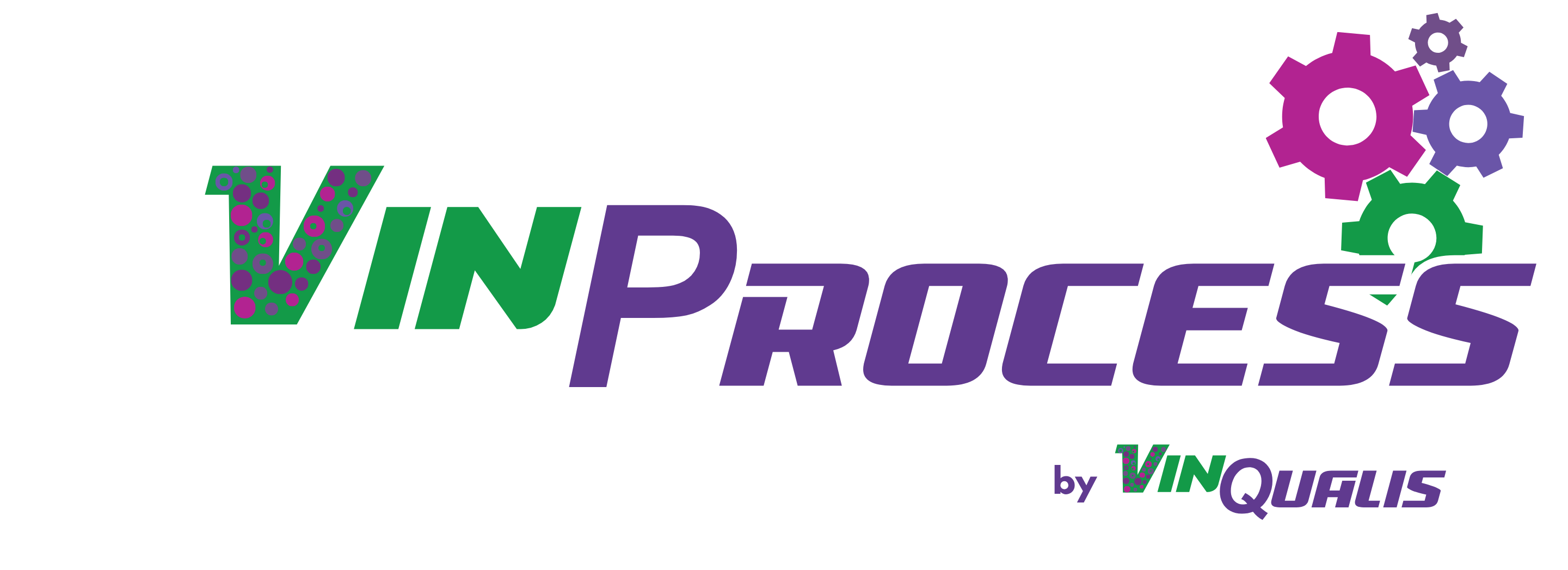 VINPROCESS