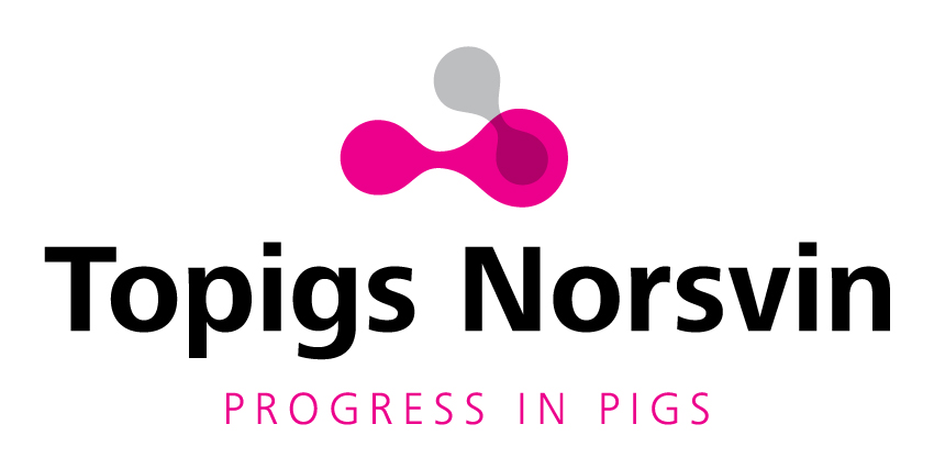 TOPIGS NORSVIN