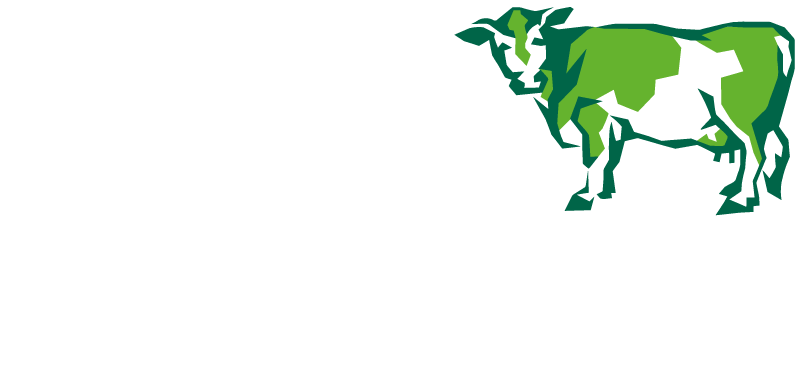 COW WELFARE