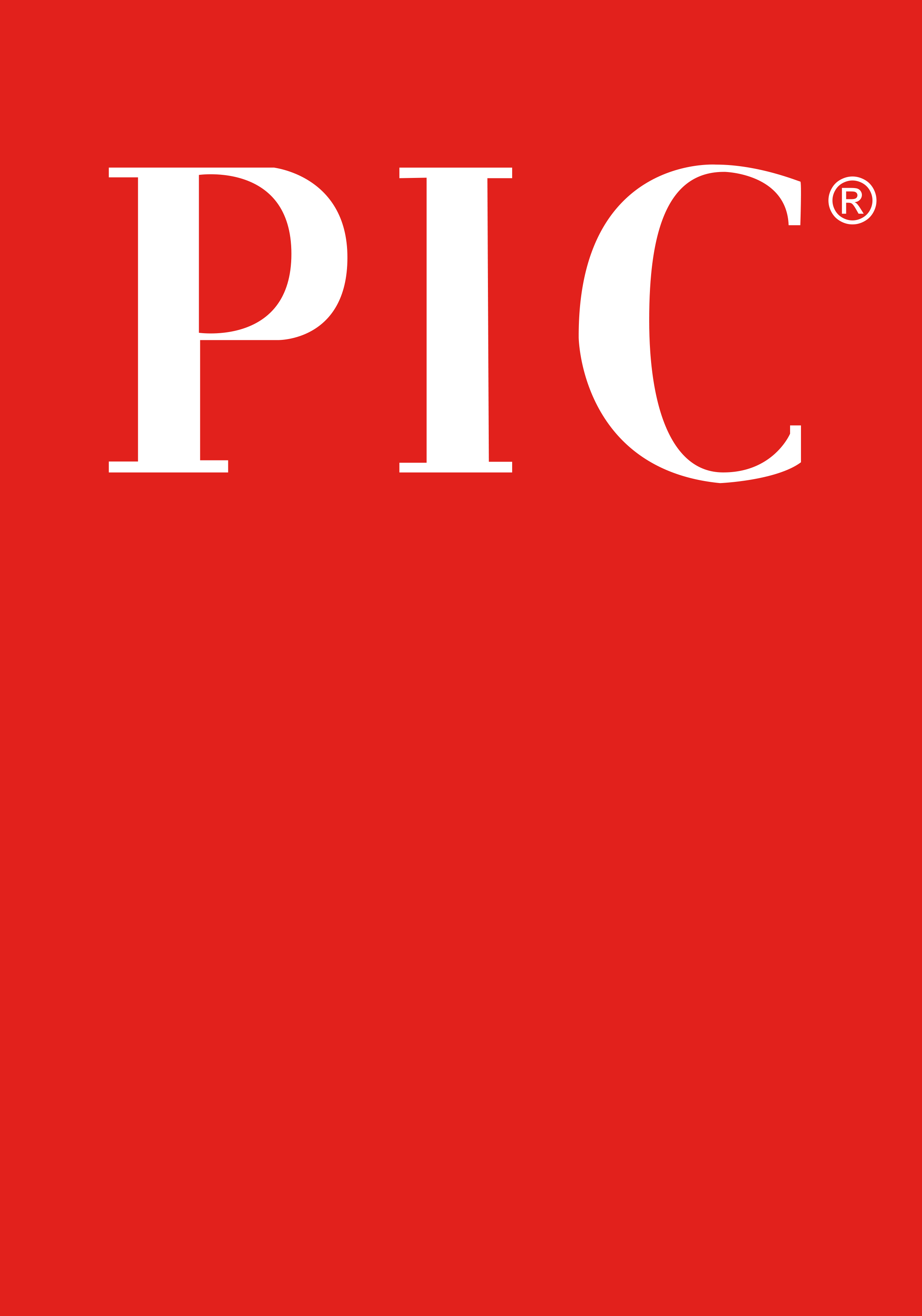 PIC ESPAÑA S.A.