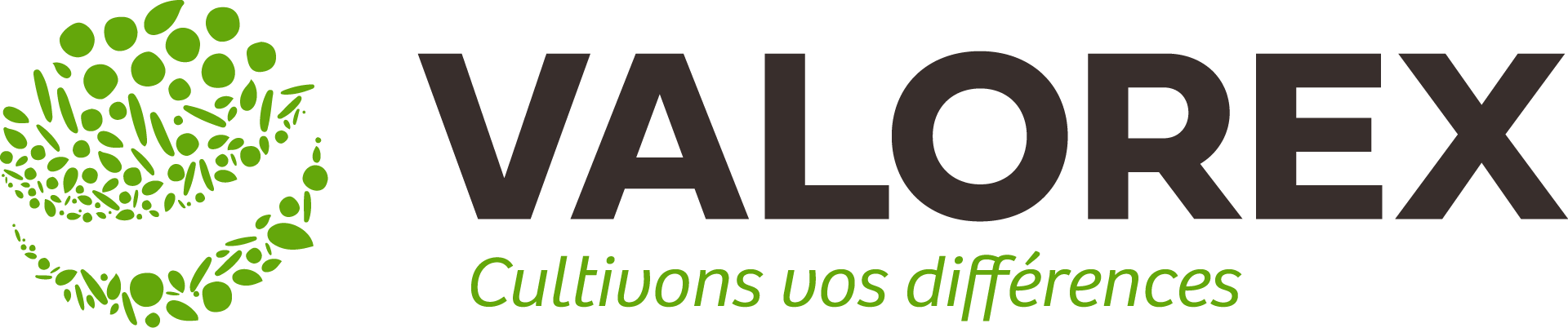 Valorex