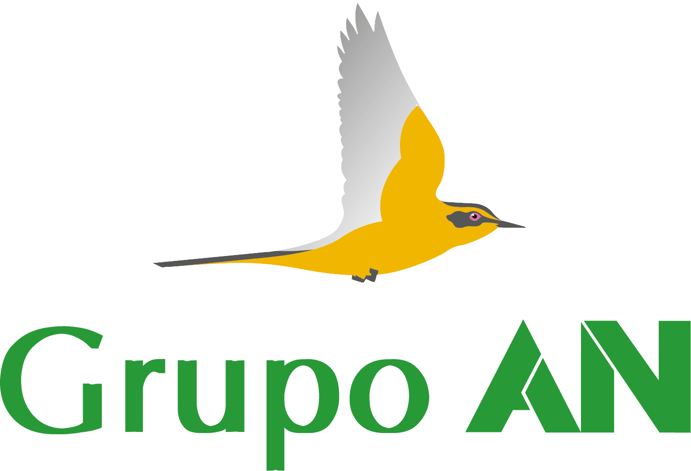 GRUPO AN