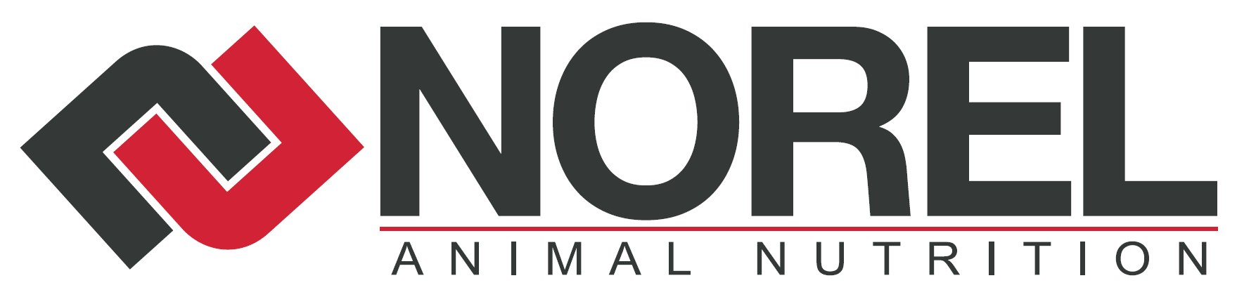 NOREL