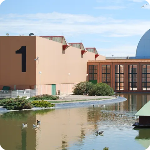 Gallery image (1).png