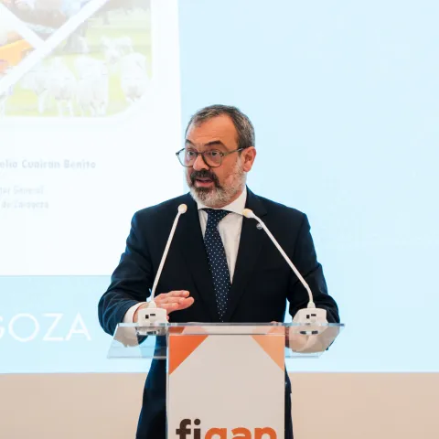 Figan2025 31